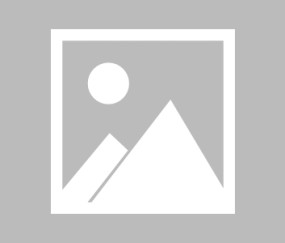 贝德纳雷克谈莱万被撤波兰队长:我们被卷入了不应存在的政治纷争